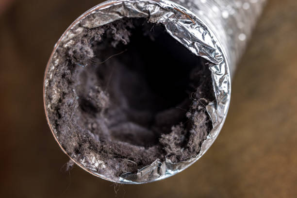 Best Best Air Duct Cleaning Company  in Rockvale, TN