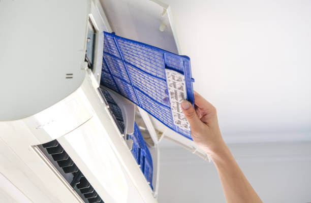 Best Local Air Duct Cleaning Services  in Rockvale, TN